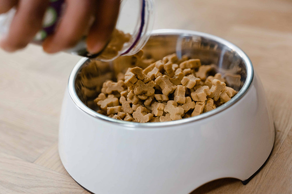 Finding the Best Dog Food For Your Dog