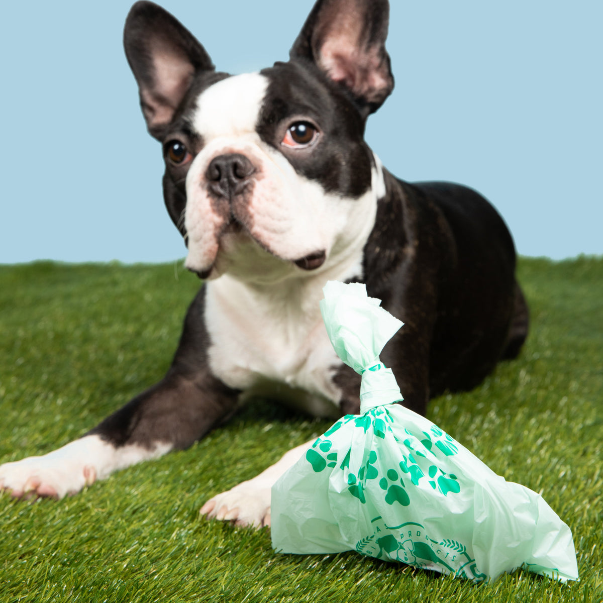 Refill Pet Poop Bags | 15 Bags